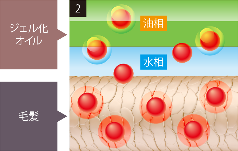 油相と水相が分かれ毛髪内部へ浸透する処方図解