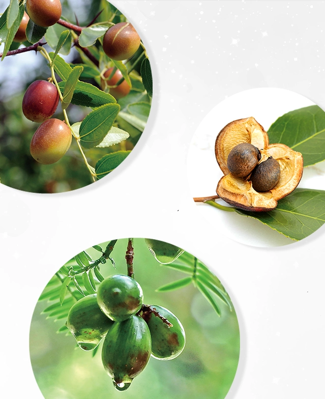 厳選された3種の天然植物オイル配合