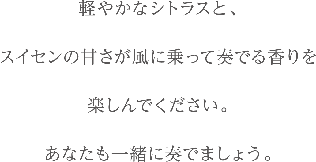 軽やかなシトラスと、スイセンの甘さが風に乗って奏でる香りを楽しんでください。あなたも一緒に奏でましょう。