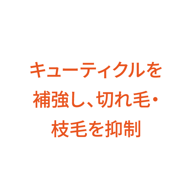 キューティクルを補強し、切れ毛・枝毛を抑制