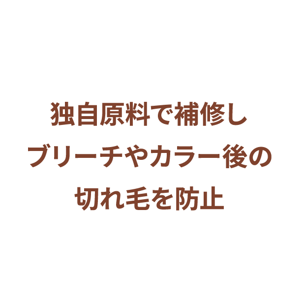 独自原料で補修し、ブリーチやカラー後の切れ毛を防止