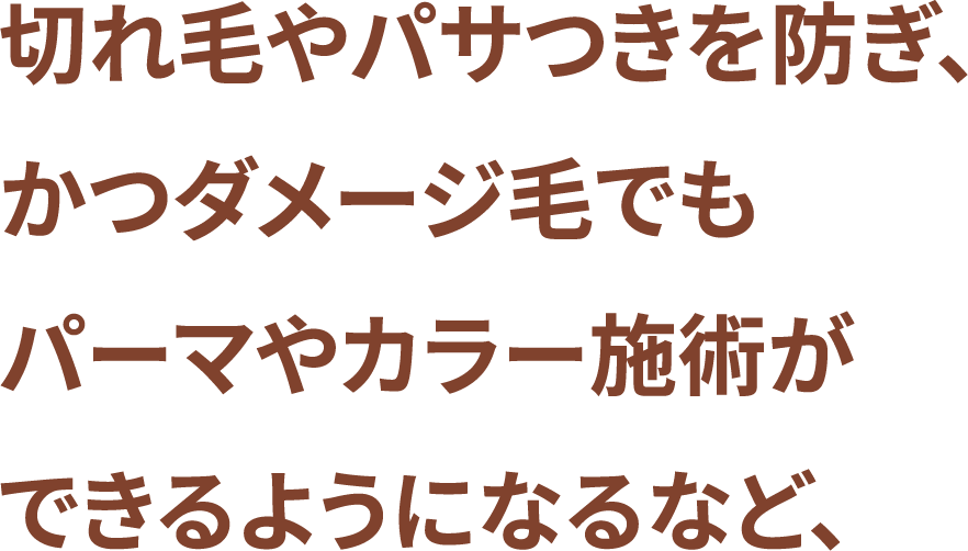 切れ毛やパサつきを防ぎ、かつダメージ毛でもパーマやカラー施術ができるようになるなど