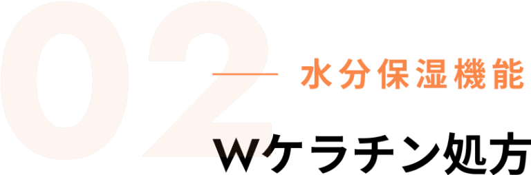 Wケラチン処方