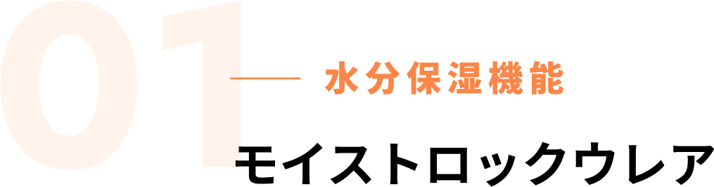 モイストロックウレア