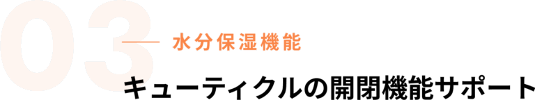 キューティクルの開閉機能サポート